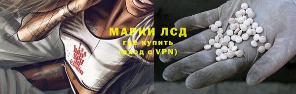 PSILOCYBIN Инсар