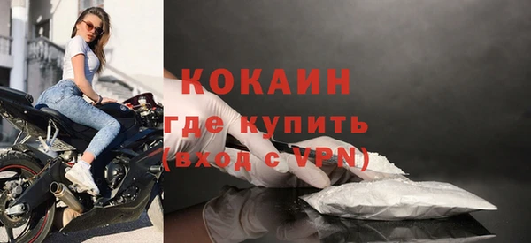 PSILOCYBIN Инсар