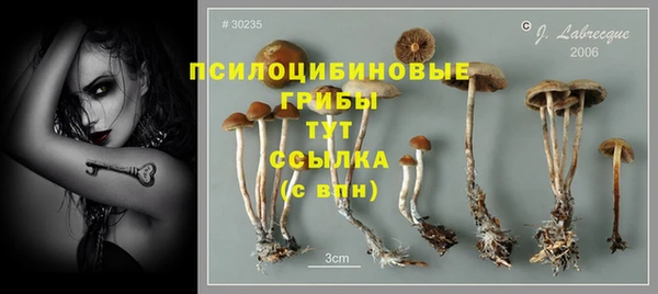 PSILOCYBIN Инсар