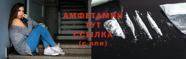 PSILOCYBIN Инсар