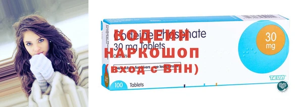 спиды Инта