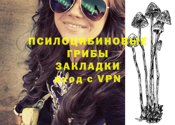 спиды Инта
