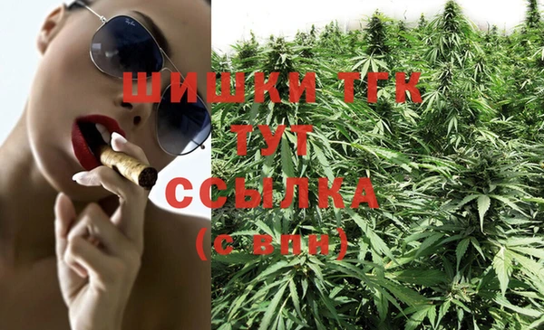 спиды Инта