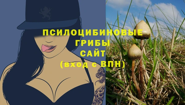 дмт Иннополис