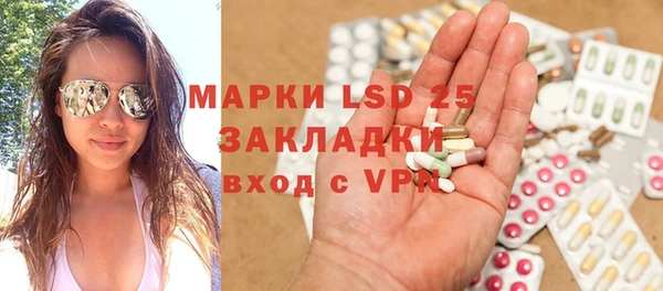 PSILOCYBIN Инсар