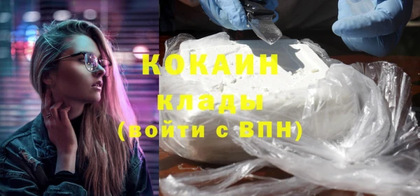 PSILOCYBIN Инсар
