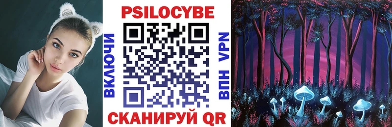 Псилоцибиновые грибы Psilocybe Купить закладки Ухта